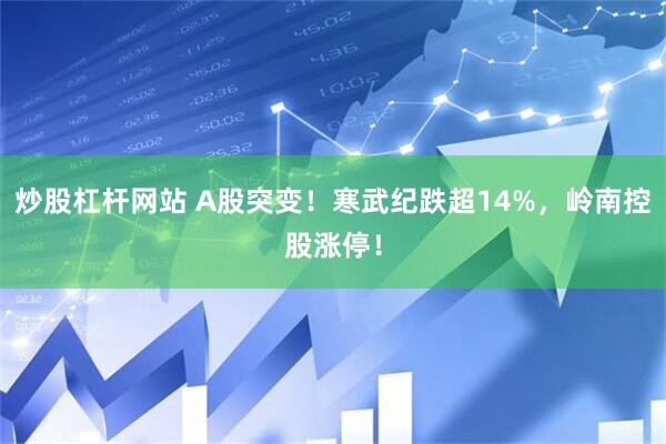 炒股杠杆网站 A股突变！寒武纪跌超14%，岭南控股涨停！