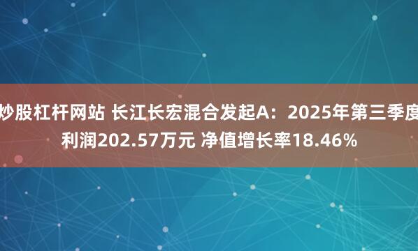 炒股杠杆网站 长江长宏混合发起A：2025年第三季度利润202.57万元 净值增长率18.46%