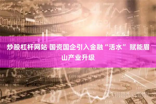 炒股杠杆网站 国资国企引入金融“活水” 赋能眉山产业升级