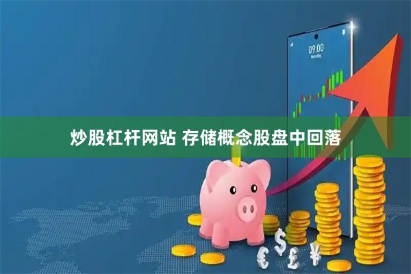 炒股杠杆网站 存储概念股盘中回落