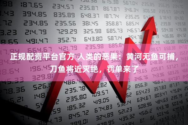 正规配资平台官方 人类的恶果：黄河无鱼可捕，刀鱼将近灭绝，罚单来了